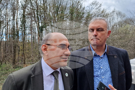 Шумен - Шуменско плато - съхнене на дървета