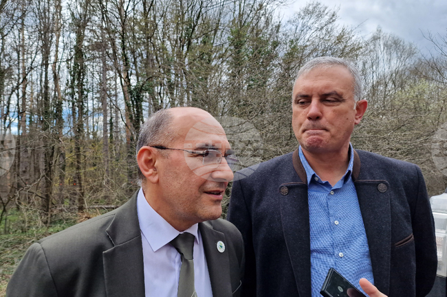 Шумен - Шуменско плато - съхнене на дървета