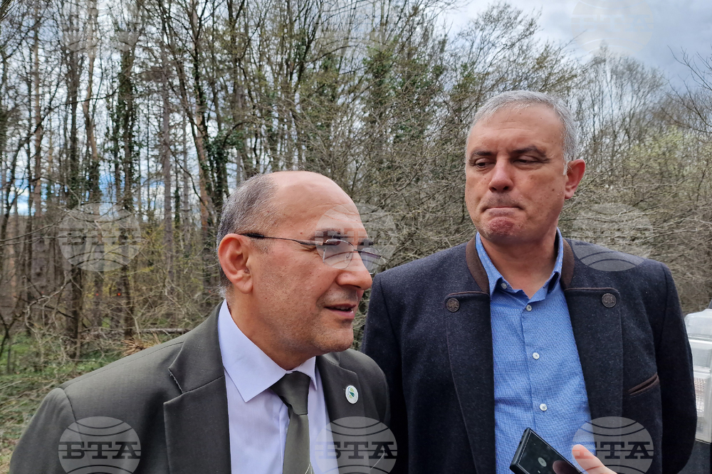 Шумен - Шуменско плато - съхнене на дървета