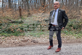 Шумен - Шуменско плато - съхнене на дървета