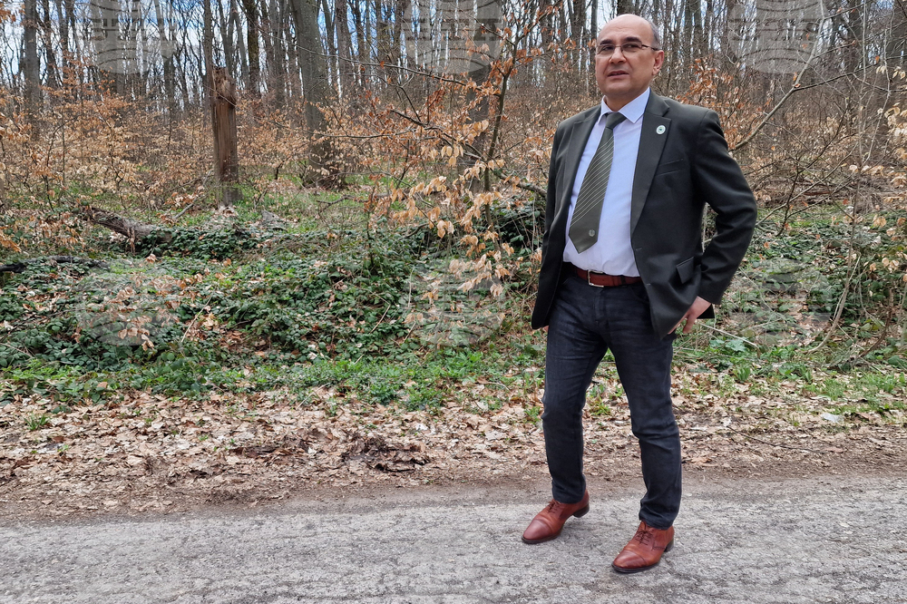 Шумен - Шуменско плато - съхнене на дървета