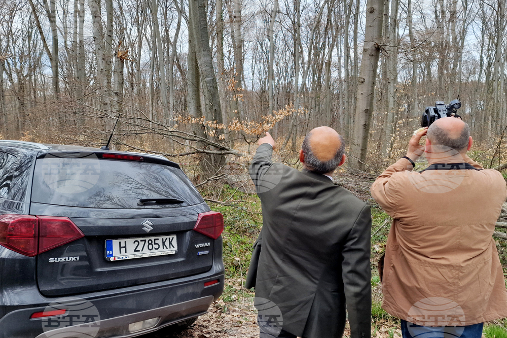Шумен - Шуменско плато - съхнене на дървета