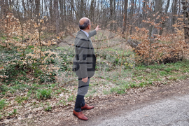 Шумен - Шуменско плато - съхнене на дървета