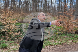 Шумен - Шуменско плато - съхнене на дървета