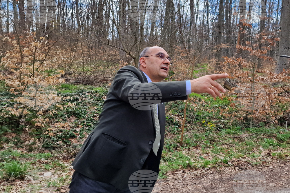 Шумен - Шуменско плато - съхнене на дървета