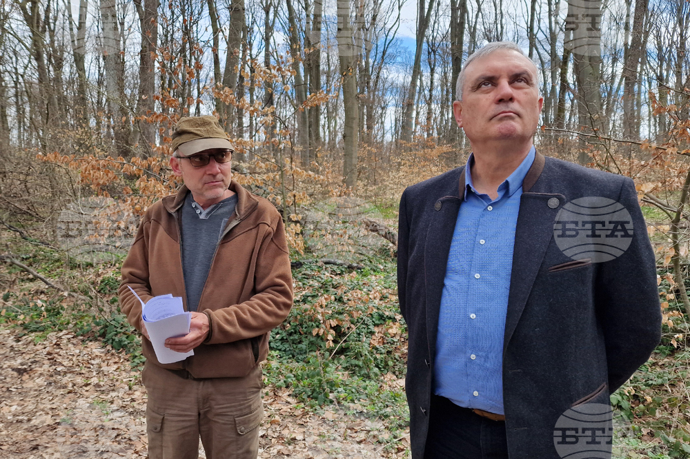 Шумен - Шуменско плато - съхнене на дървета