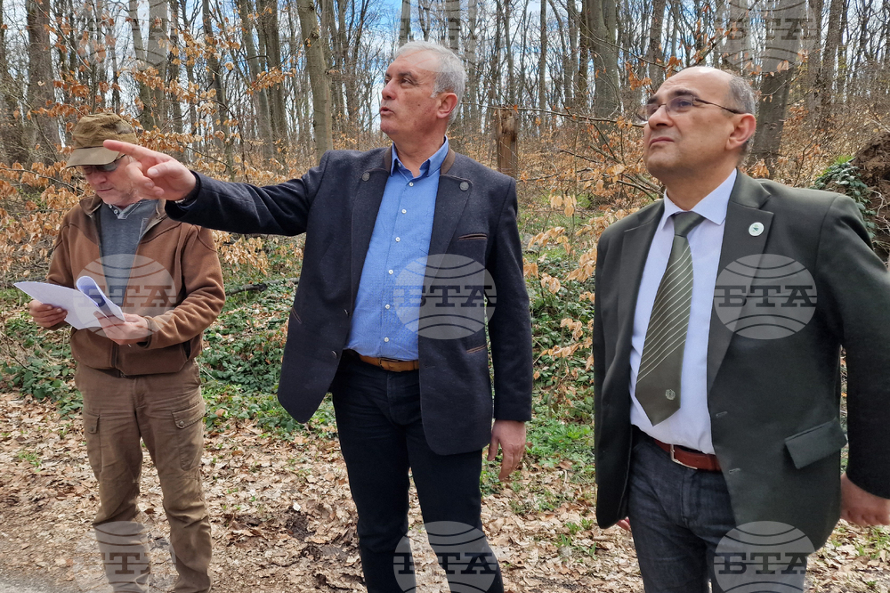 Шумен - Шуменско плато - съхнене на дървета