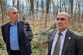 Шумен - Шуменско плато - съхнене на дървета