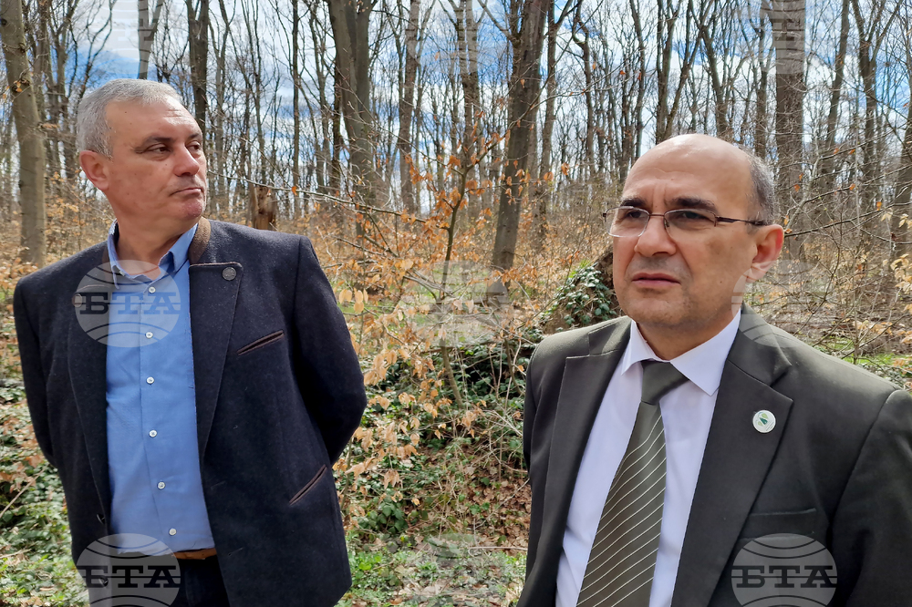 Шумен - Шуменско плато - съхнене на дървета