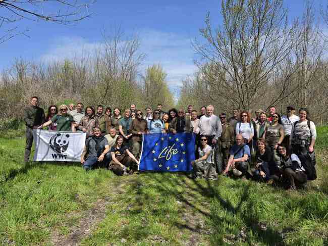 ИАГ: 10 години възстановяване на крайречни гори - резултатите вече са видими на терен