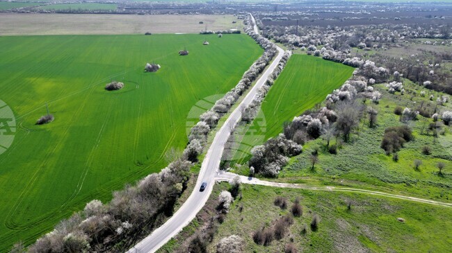 Пътят между селата Дичин и Русаля е основно ремонтиран, съобщиха от Община Велико Търново 