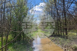 Село Маноле - "Седмица на гората"