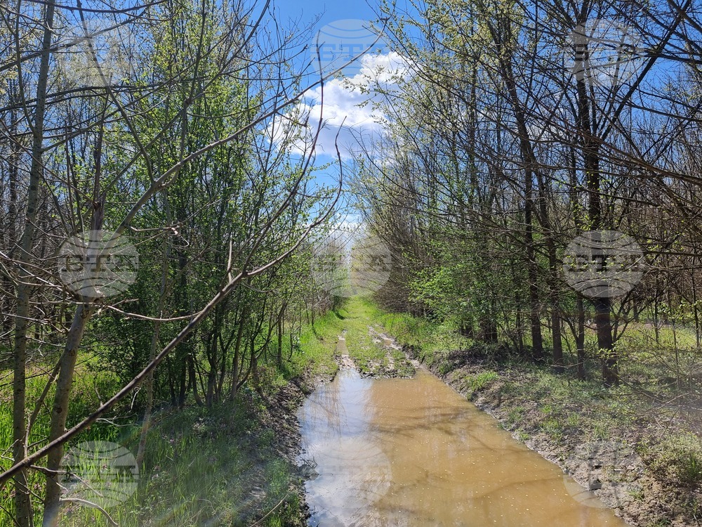 Село Маноле - "Седмица на гората"