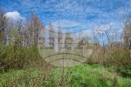 Село Маноле - "Седмица на гората"