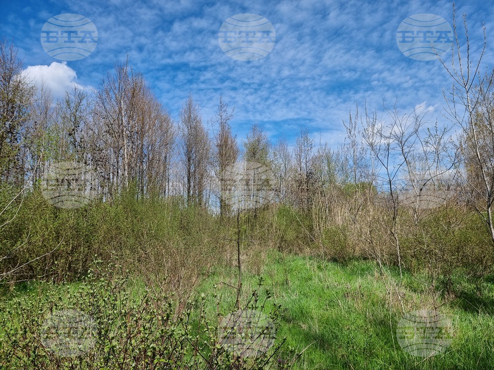 Село Маноле - "Седмица на гората"