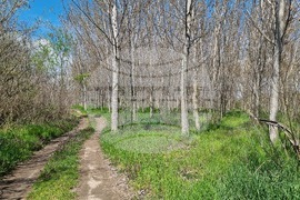 Село Маноле - "Седмица на гората"