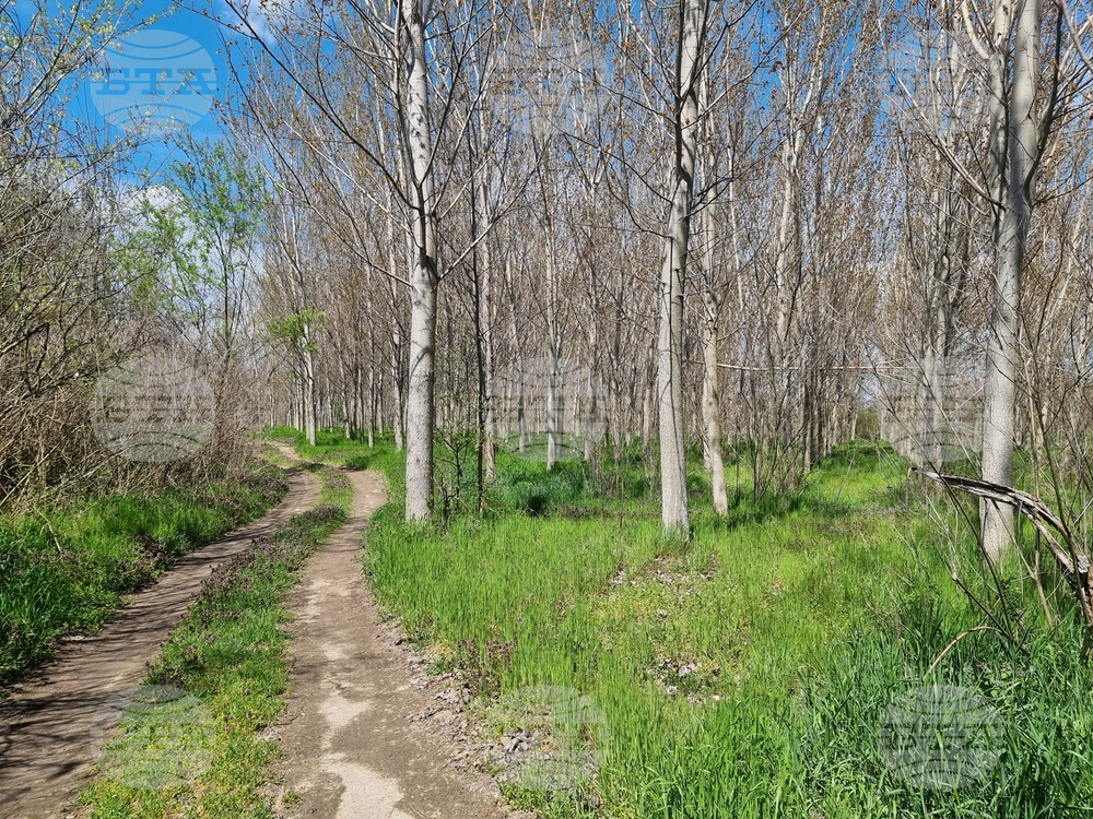 Село Маноле - "Седмица на гората"