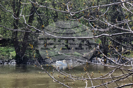 Село Маноле - "Седмица на гората"