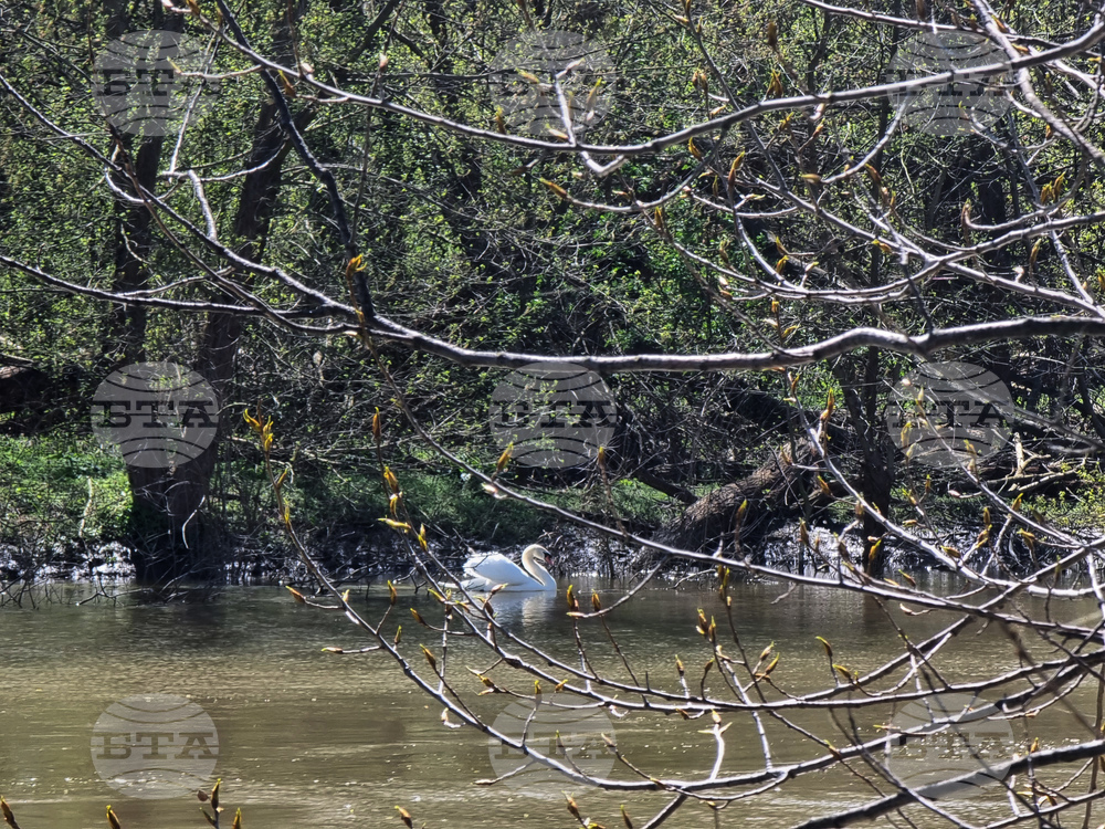 Село Маноле - "Седмица на гората"