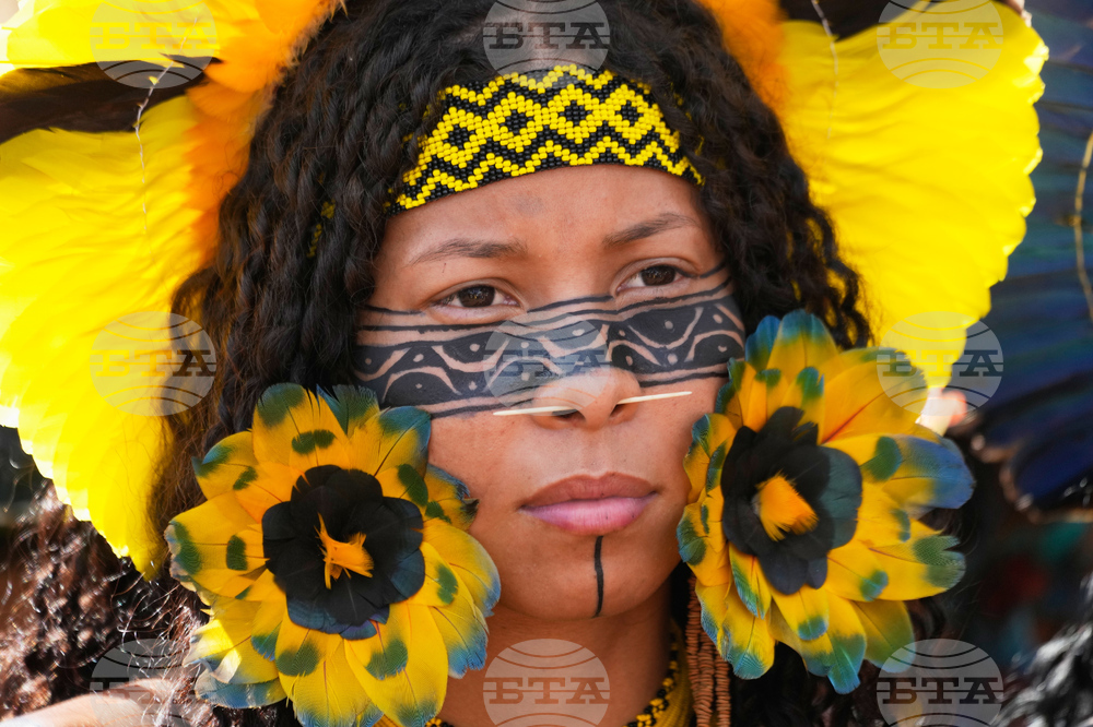 Brazil Indigenous Rights