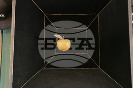 Наталия Генова - книга-албум - представяне