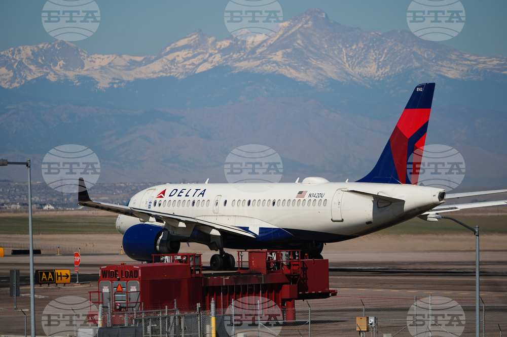 Delta Air Lines Bag Fees