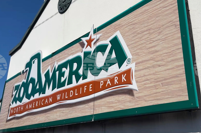 Toddler Wolf Enclosure