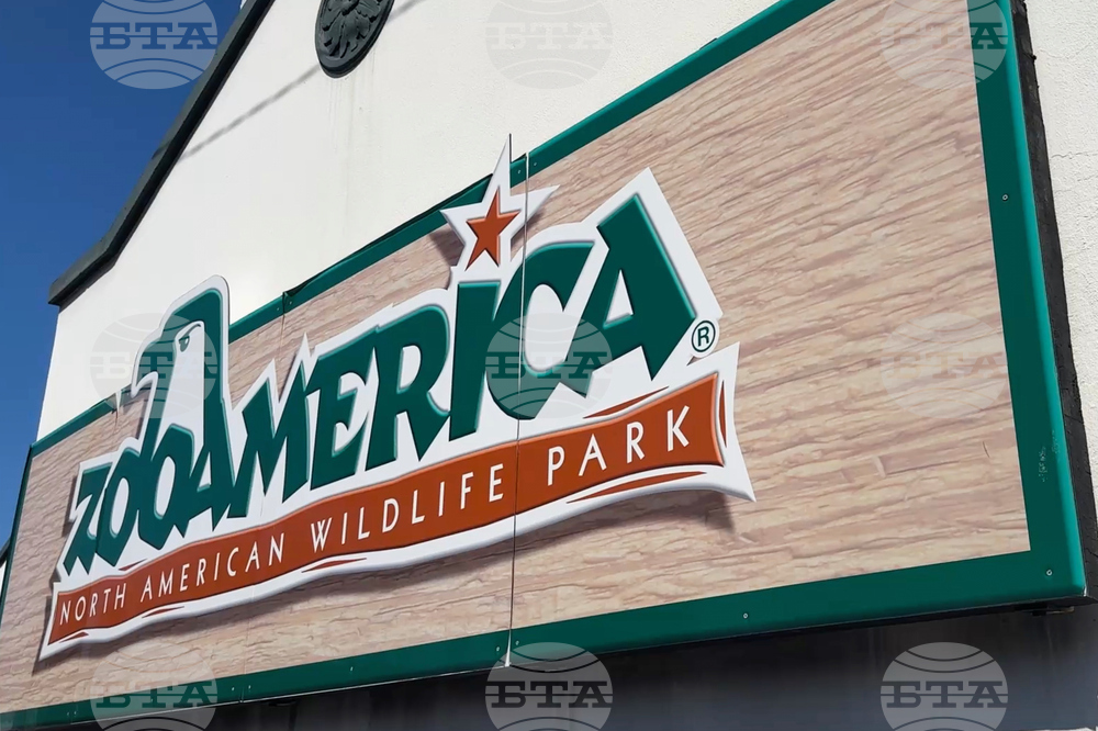 Toddler Wolf Enclosure