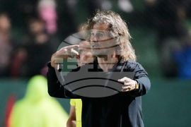 Argentina Brazil Copa Sudamericana Soccer