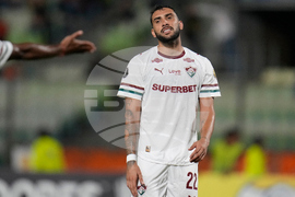 Venezuela Brazil Copa Libertadores Soccer