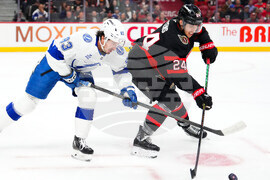 Lightning Senators Hockey