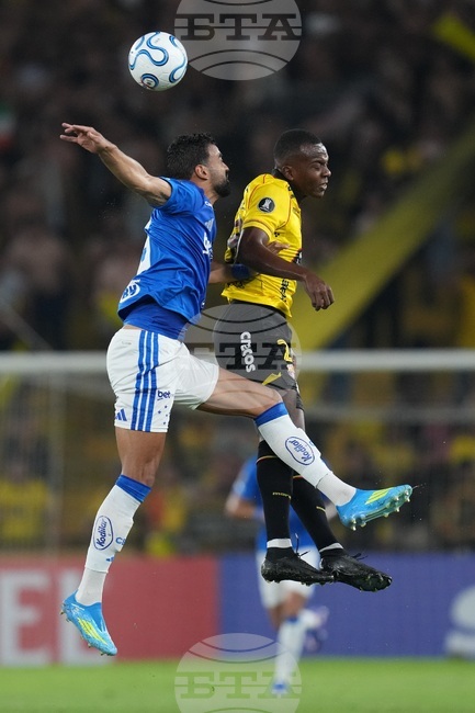 Ecuador Brazil Copa Libertadores Soccer