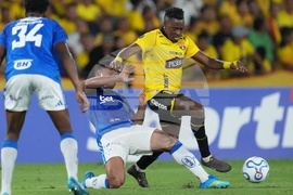 Ecuador Brazil Copa Libertadores Soccer