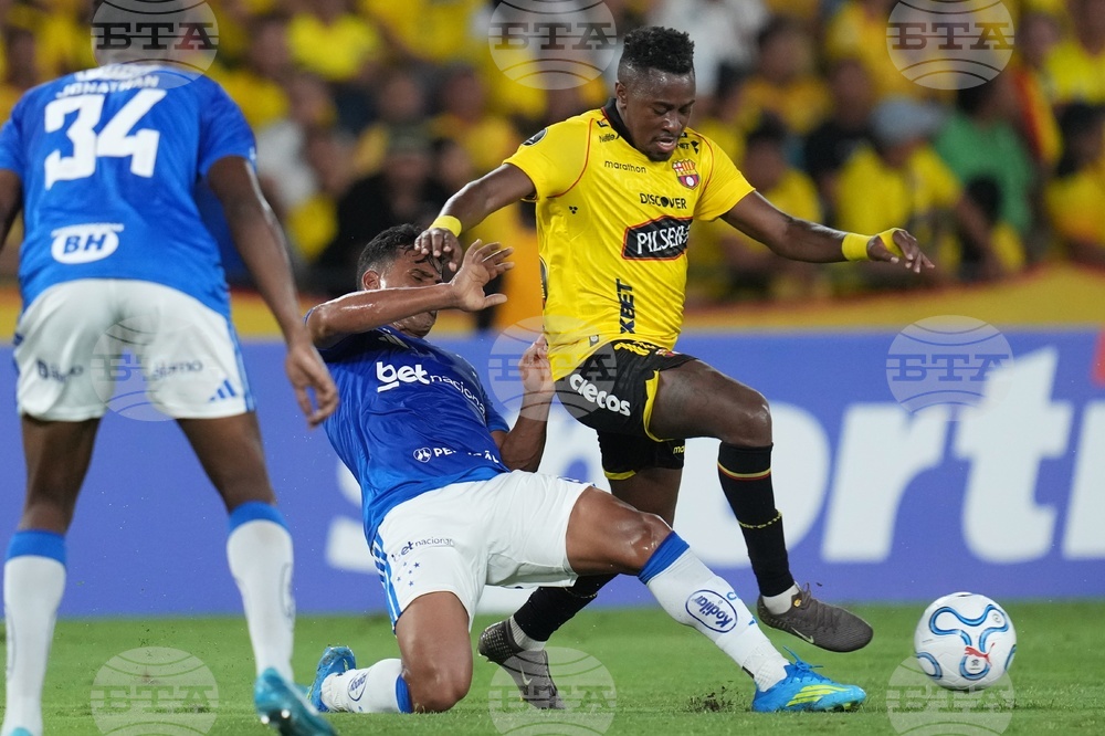 Ecuador Brazil Copa Libertadores Soccer