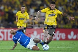 Ecuador Brazil Copa Libertadores Soccer