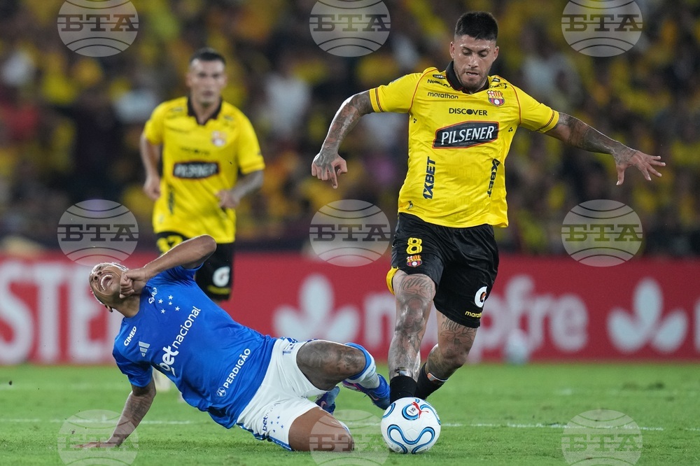 Ecuador Brazil Copa Libertadores Soccer