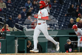 Cardinals Nationals Baseball