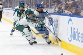 PWHL Fleet Goldeneyes Hockey