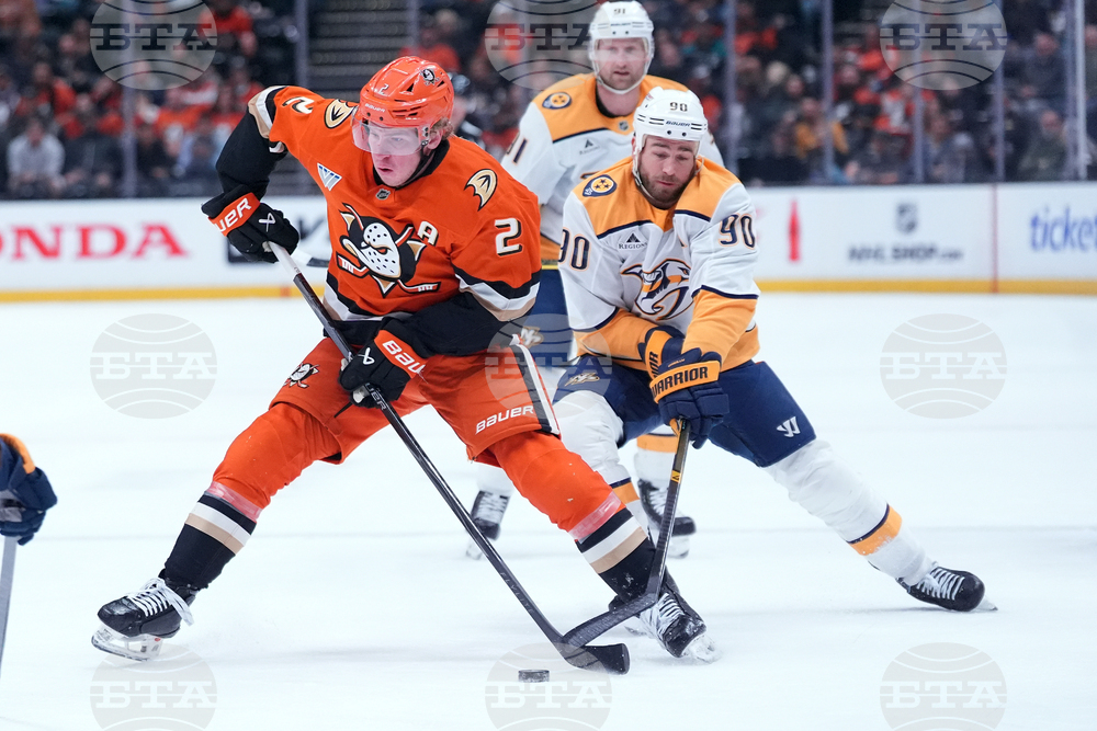 Predators Ducks Hockey