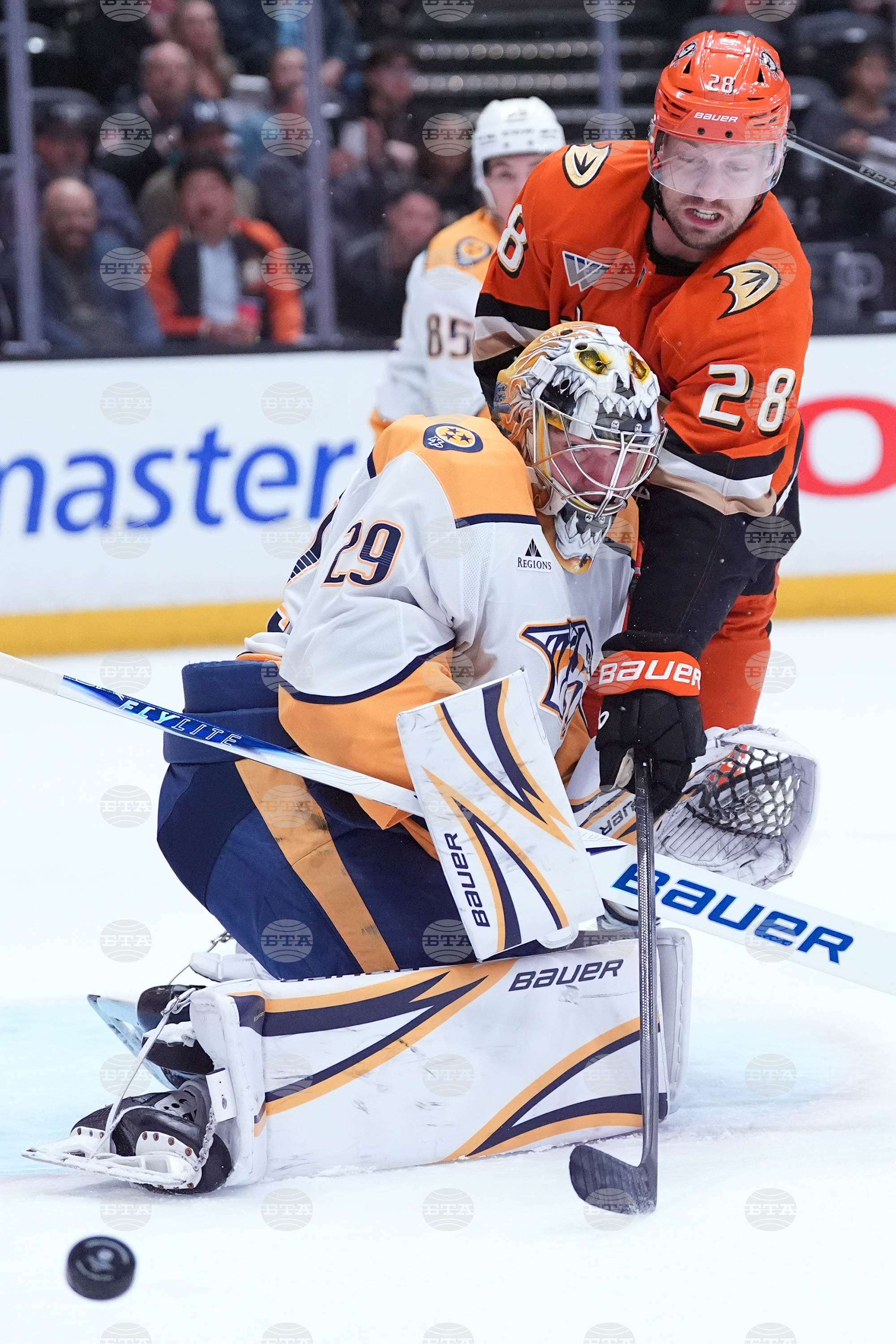Predators Ducks Hockey