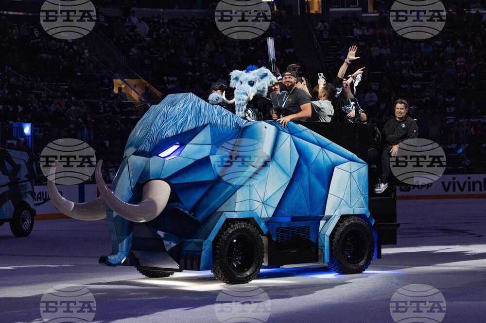 Oilers Mammoth Hockey