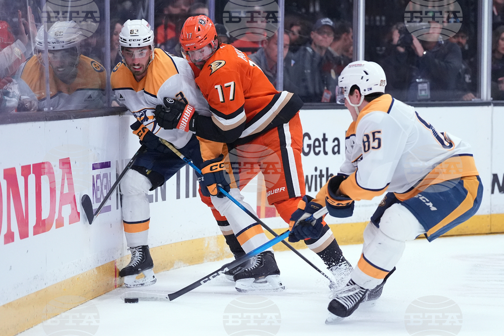 Predators Ducks Hockey