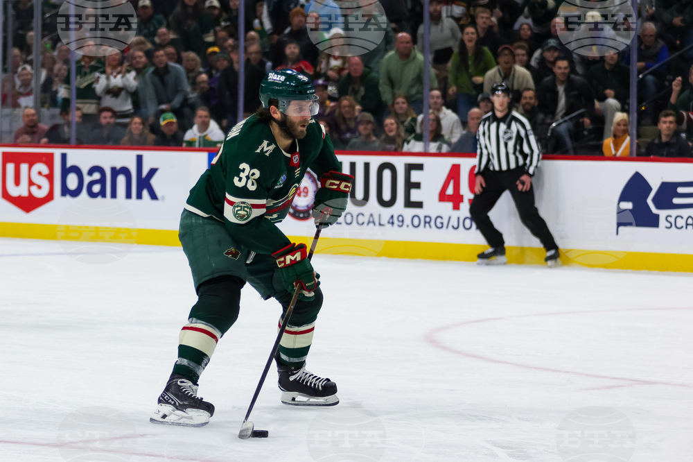Kraken Wild Hockey