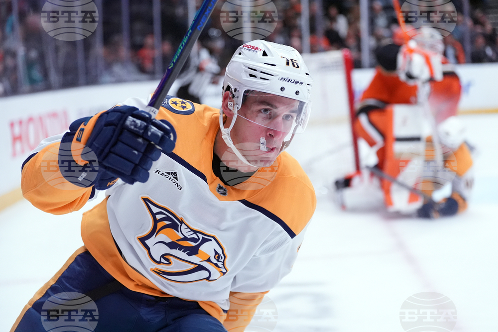 Predators Ducks Hockey