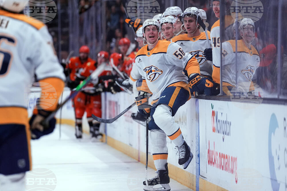 Predators Ducks Hockey