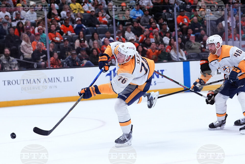 Predators Ducks Hockey