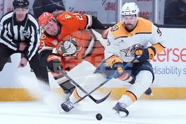 Predators Ducks Hockey