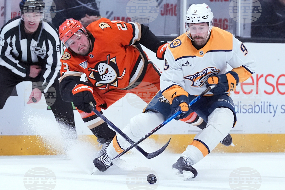 Predators Ducks Hockey