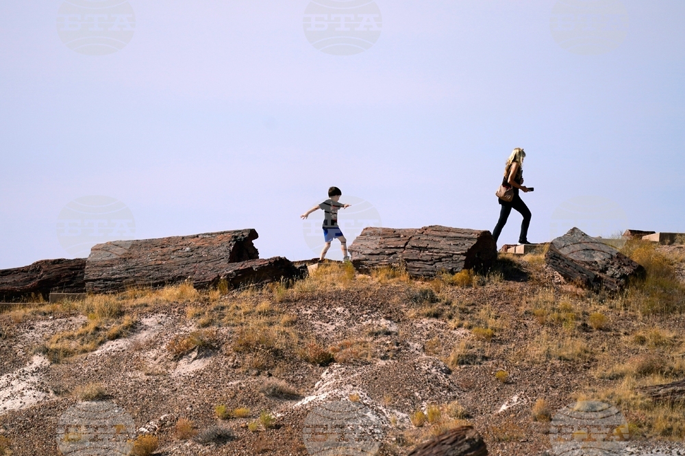 US Route 66 Centennial Road Trip