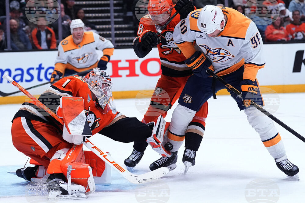 Predators Ducks Hockey